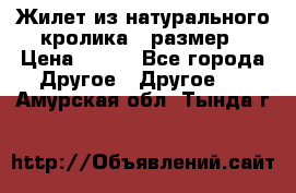 Жилет из натурального кролика,44размер › Цена ­ 500 - Все города Другое » Другое   . Амурская обл.,Тында г.